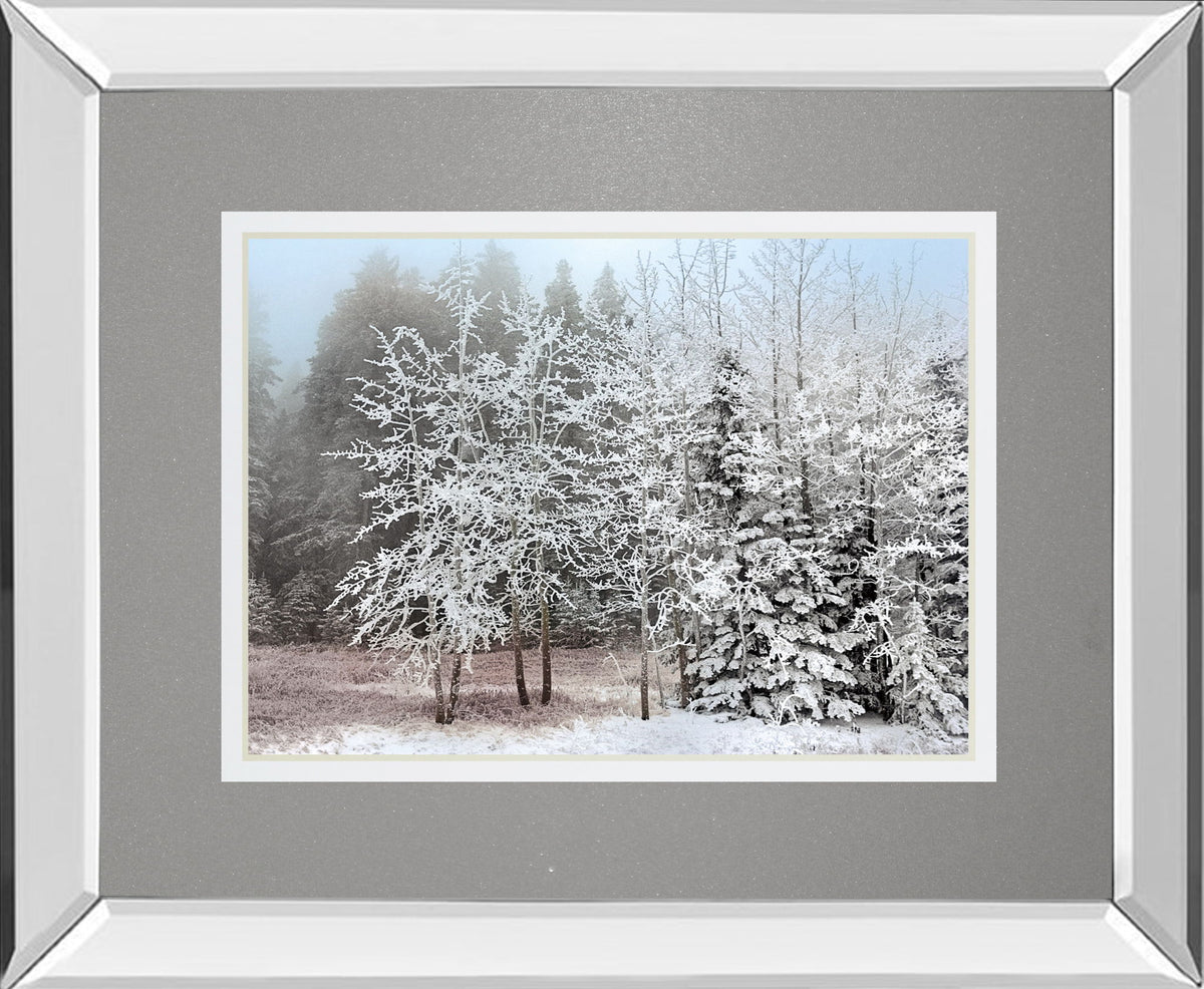 Frosty Morning By Mike Jone - Mirror Framed Print Wall Art - Gray
