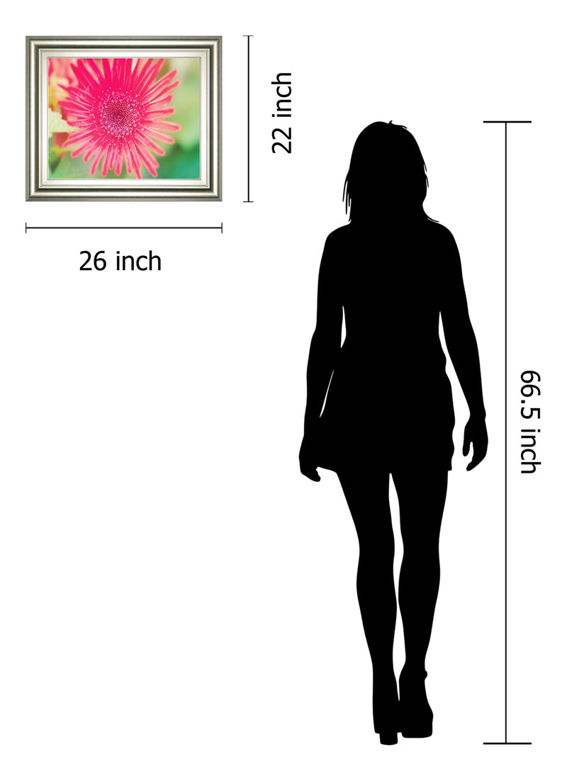 Pink Gerbera By Susan Bryant - Framed Print Wall Art - Pink