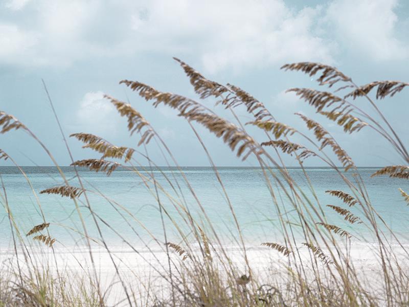 Solitude Beach By Danita Delimont (Small) - Light Blue