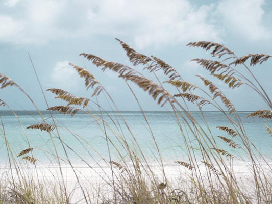 Solitude Beach By Danita Delimont (Framed Small) - Light Blue