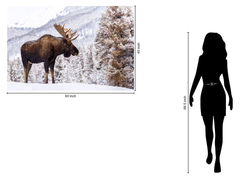 Tempered Glass - Moose In Snow - Gray