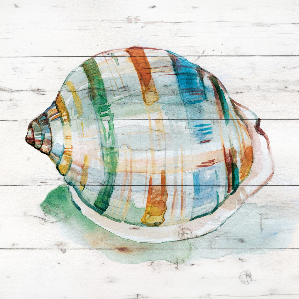 Framed Small - Tye Dyed Shell I By Carol Robinson - Gray