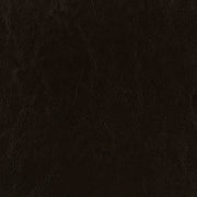 Dorian Faux Leather Upholstered Panel Bed