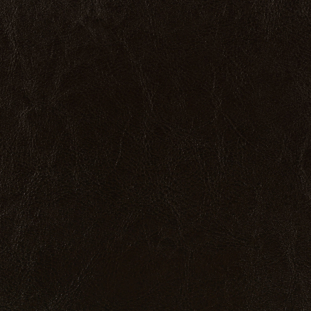 Dorian Faux Leather Upholstered Panel Bed