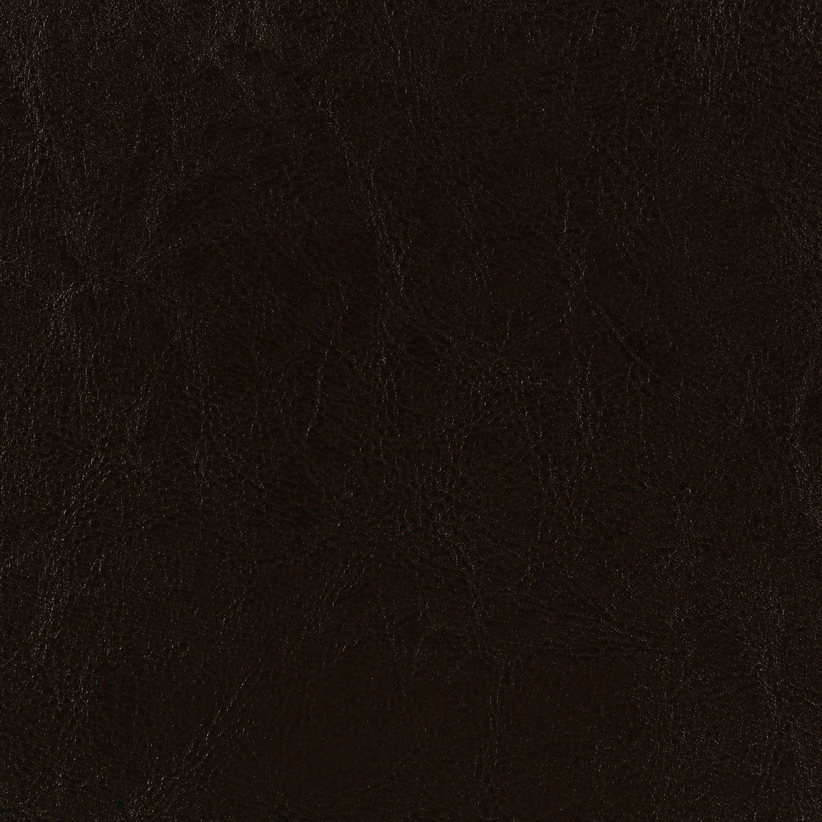 Dorian Faux Leather Upholstered Panel Bed