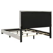 Dorian Fabric Upholstered Panel Bed