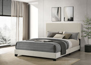 Dorian Fabric Upholstered Panel Bed