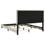 Dorian Fabric Upholstered Panel Bed