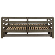 Sorrento 2-drawer Twin XL Daybed with Extension Trundle Grey