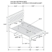 Soledad Upholstered Storage Panel Bed