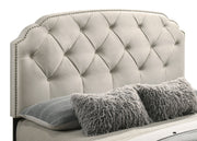 Marianna 4-drawer Upholstered Storage Bed Cream