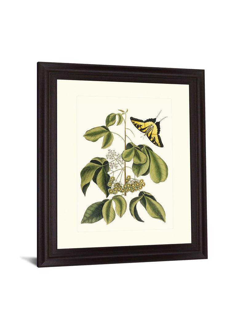 Butterfly Grove - 28" x 34" Framed Wall Art - Green
