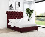 Devon 57-inch Upholstered Panel Bed Wine Red Full