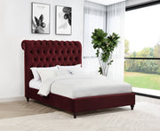 Devon 57-inch Upholstered Panel Bed