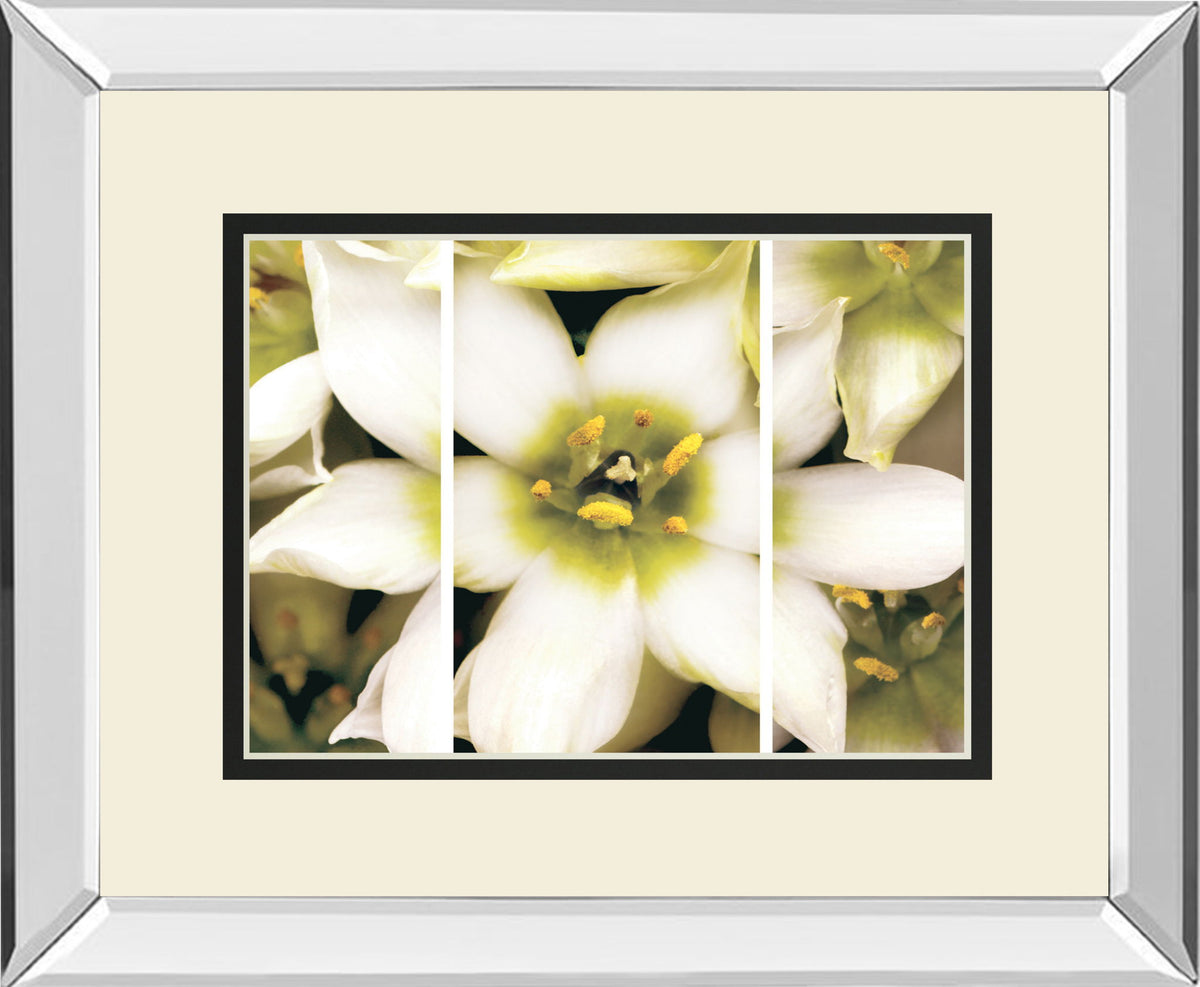 Star Of Bethlehem Triptych By Levine A. Mirrored Frame - Beige