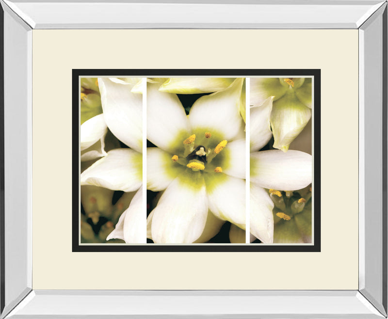 Star Of Bethlehem Triptych By Levine A. Mirrored Frame - Beige