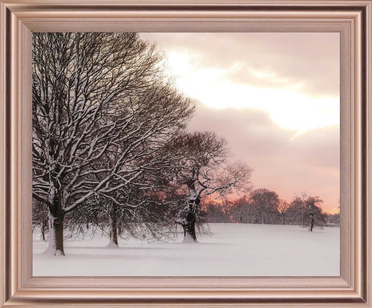 Icy Dawnview - 28" x 34" Framed Wall Art - Pink