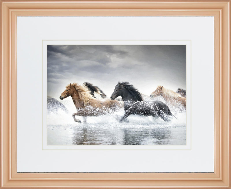 34x40 Horse Run V By PHBurchett - Gray