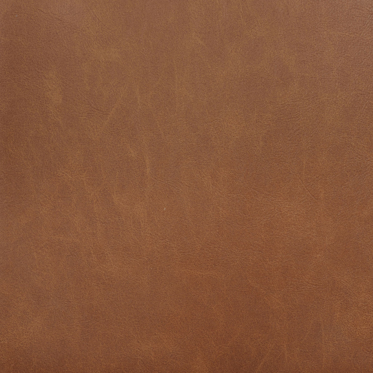 Tegan Faux Leather Upholstered Dining Side Chair Cognac (Set of 2)