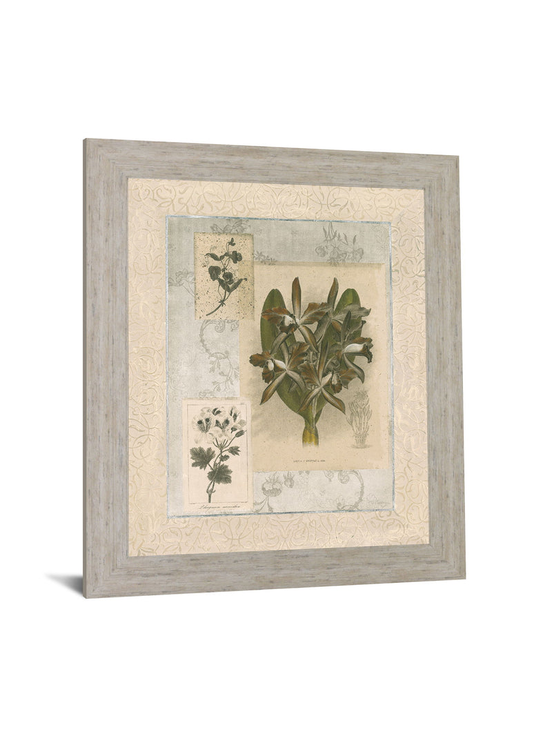 Vintage Botanical - 28" x 34" Framed Wall Art - Beige