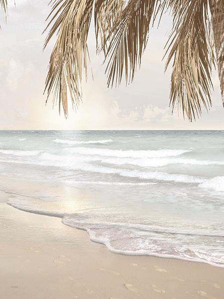 Coastal Dreams Iv By Amber Sterling - Beige