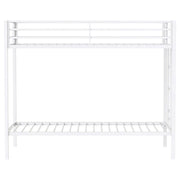 Alevera Metal Twin Over Twin Bunk Bed with Ladder