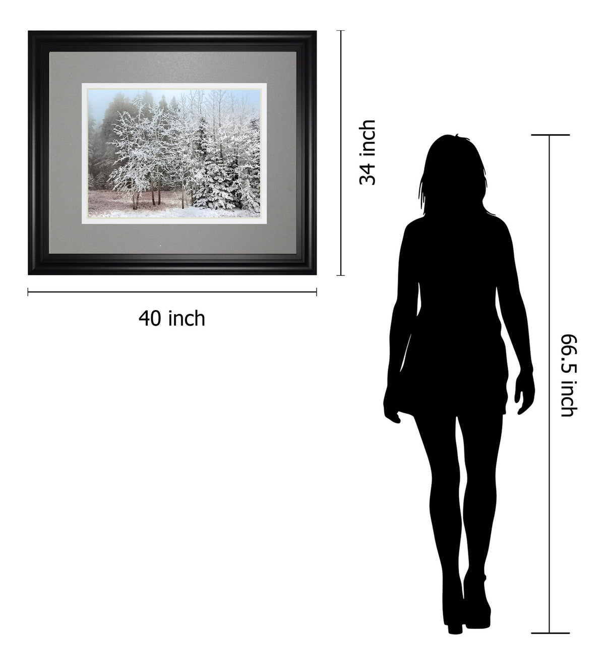 Frosty Morning By Mike Jone - Framed Print Wall Art - Gray