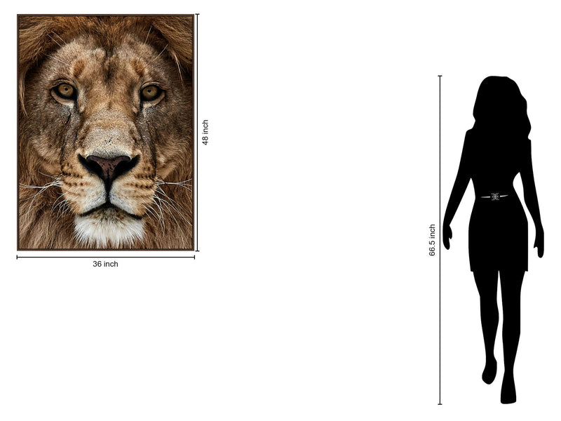 Majestic Gaze - 36" x 48" Framed Wall Art - Dark Brown