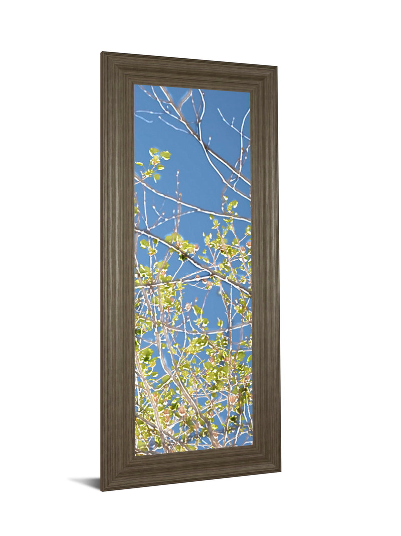 Spring Poplars IV By Sharon Chandler - Framed Print Wall Art - Light Blue