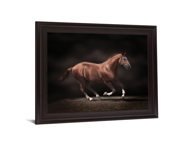 Chestnut Grace - 28" x 34" Framed Wall Art - Dark Brown