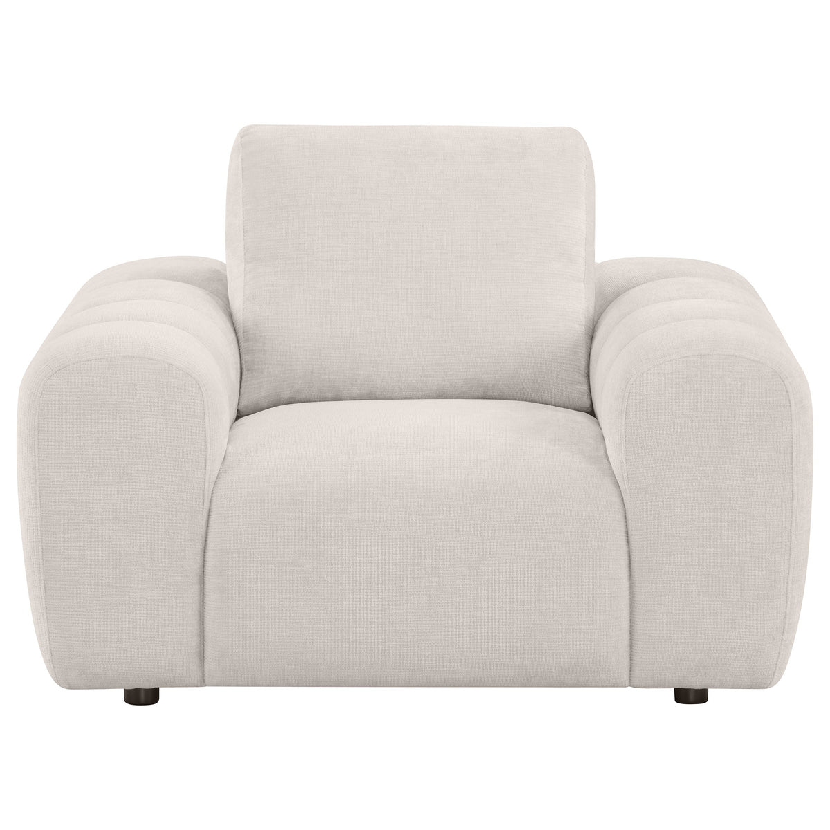 Burnett Chenille Upholstered Accent Chair