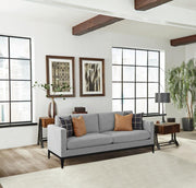 Apperson Upholstered Track Arm Sofa Light Grey Default Title