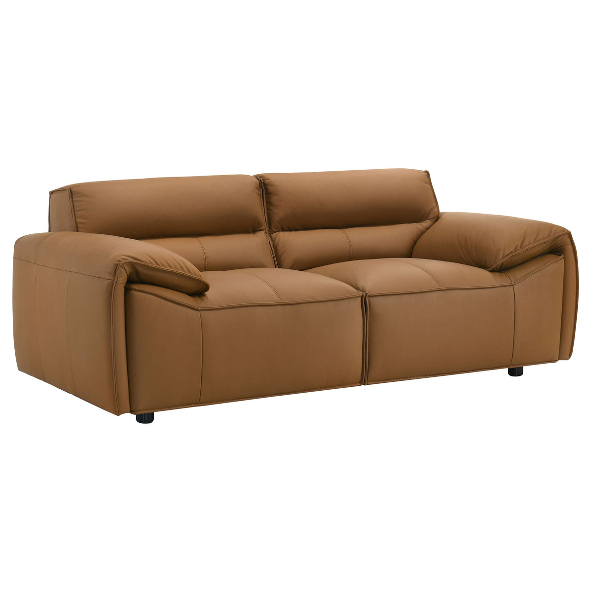Buxton Leather Upholstered Sofa Set