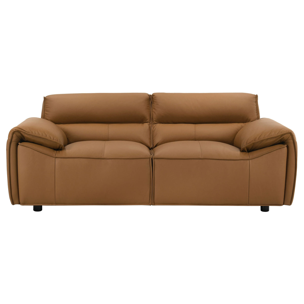 Buxton Top Grain Leather Upholstered Loveseat