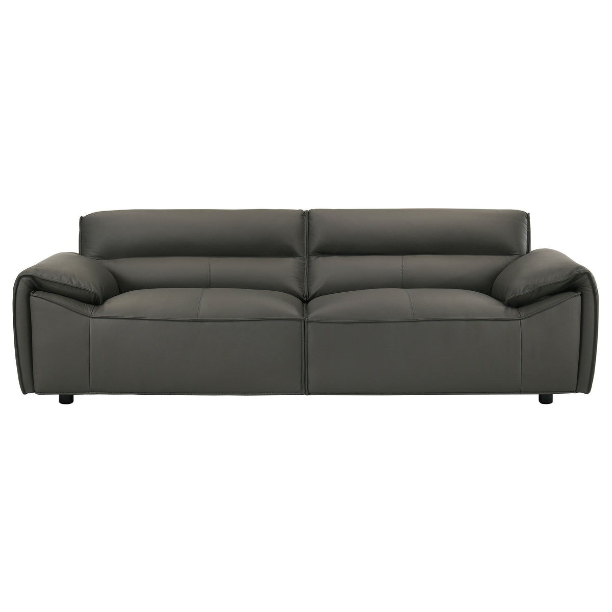 Buxton Leather Upholstered Sofa Set