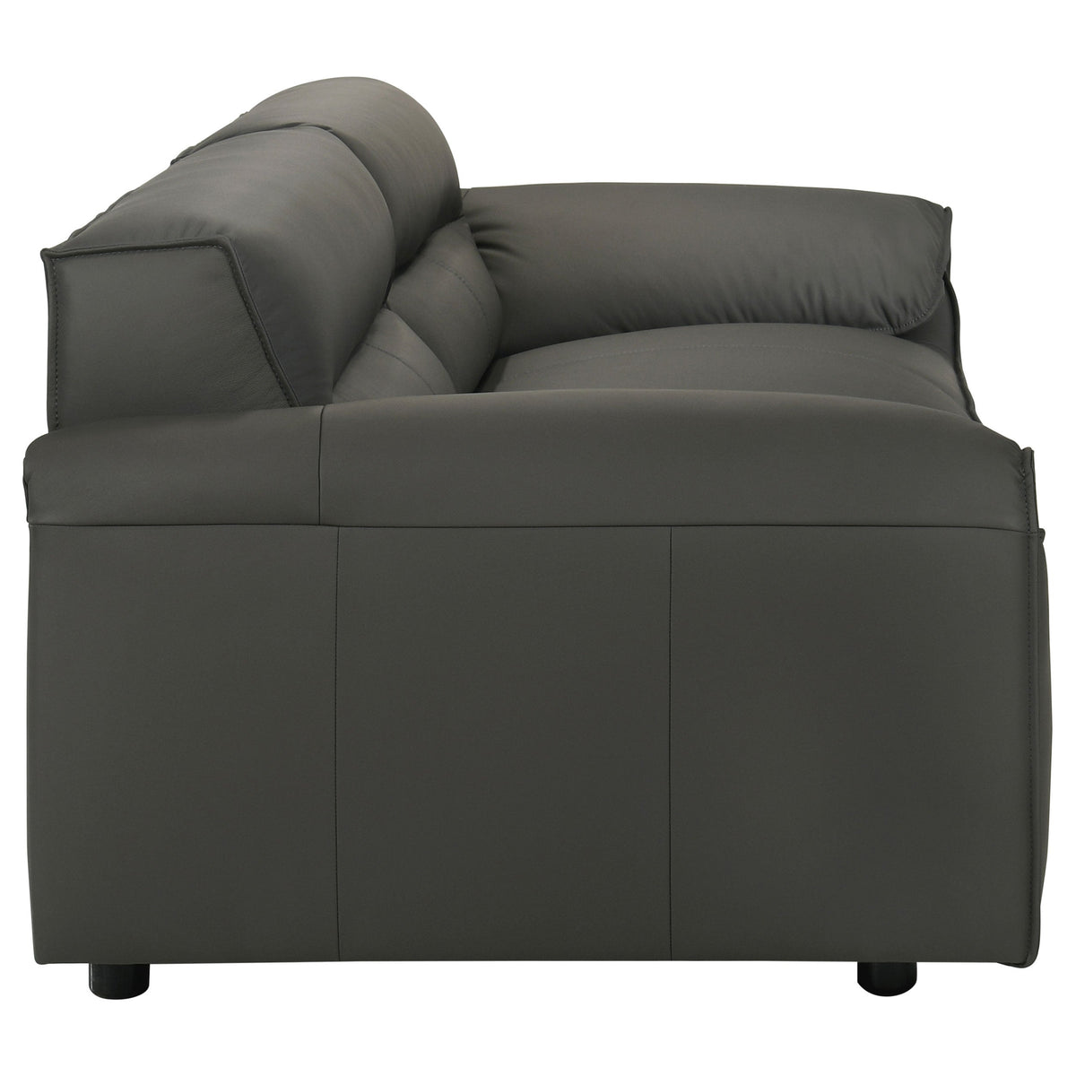 Buxton Leather Upholstered Sofa Set