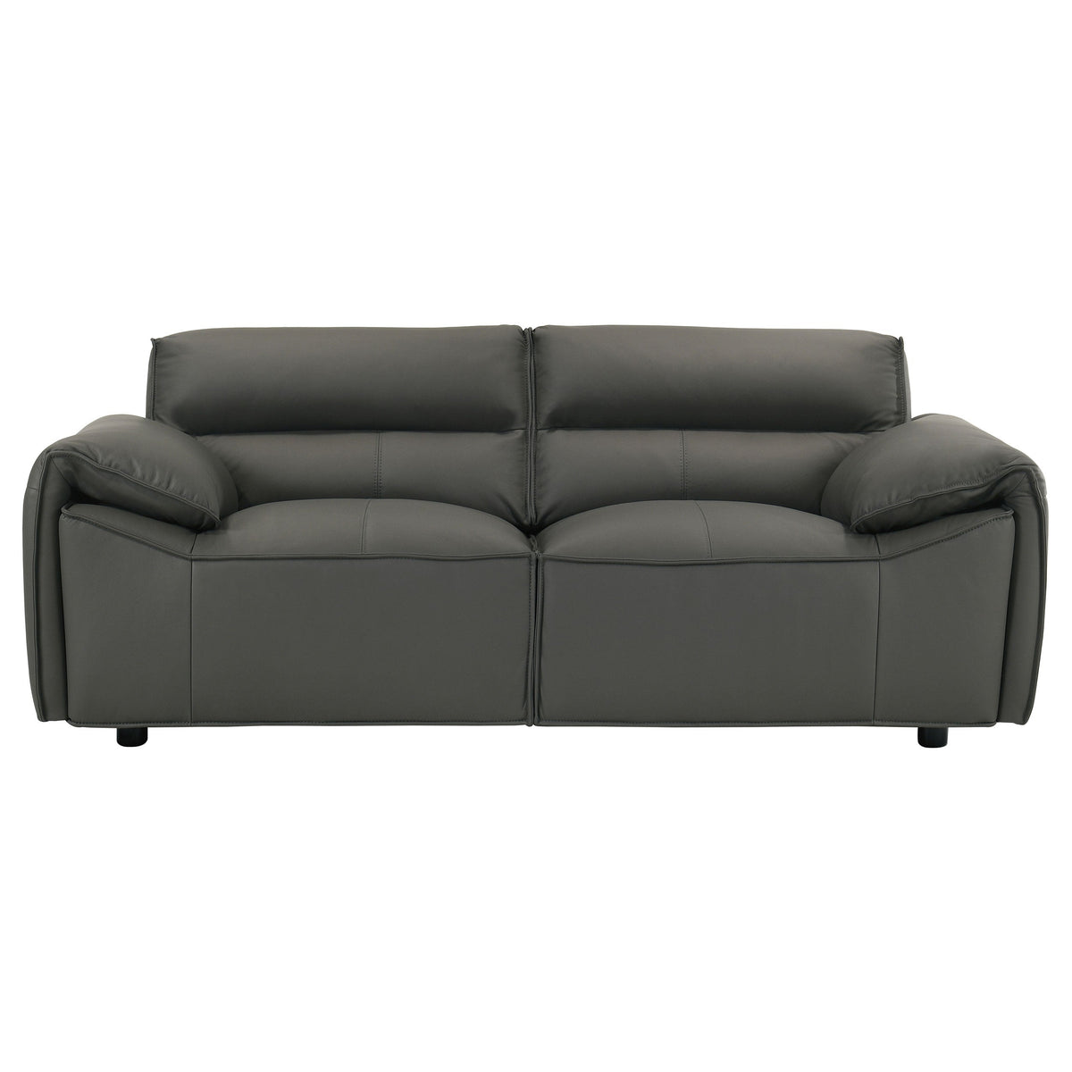 Buxton Leather Upholstered Sofa Set