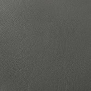 Buxton Top Grain Leather Upholstered Loveseat