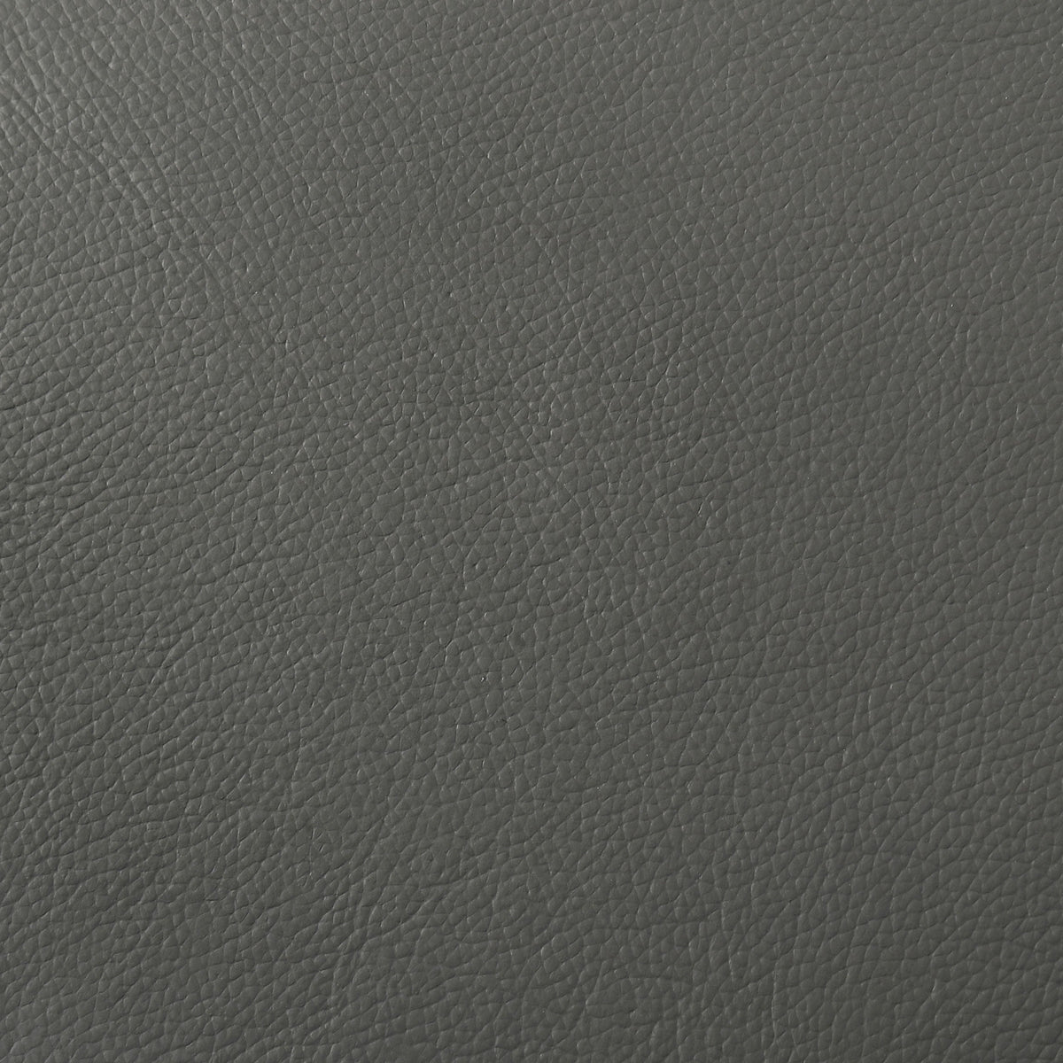 Buxton Top Grain Leather Upholstered Loveseat