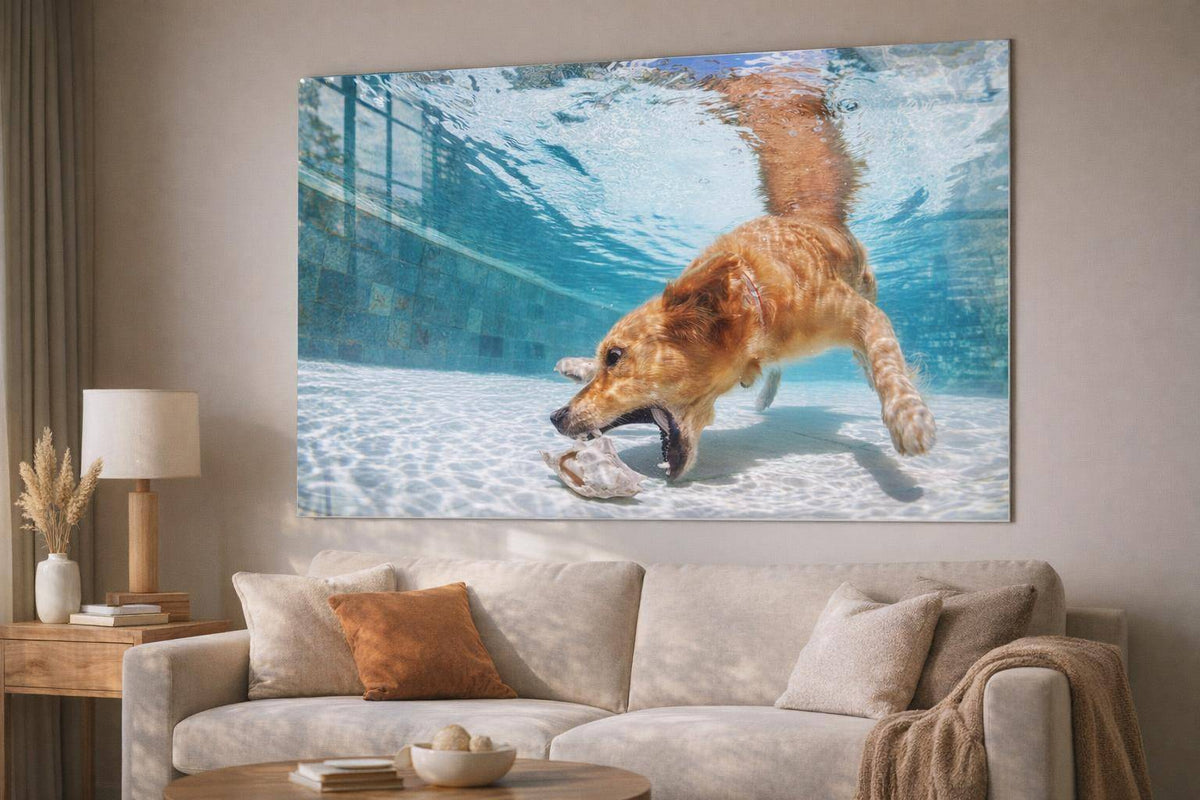 Poolside Retriever Tempered Glass - Blue / White