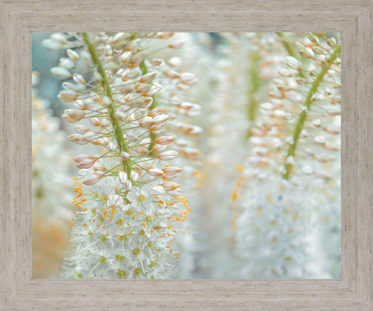 Whispering Blossoms - 28" x 34" Framed Wall Art - Beige