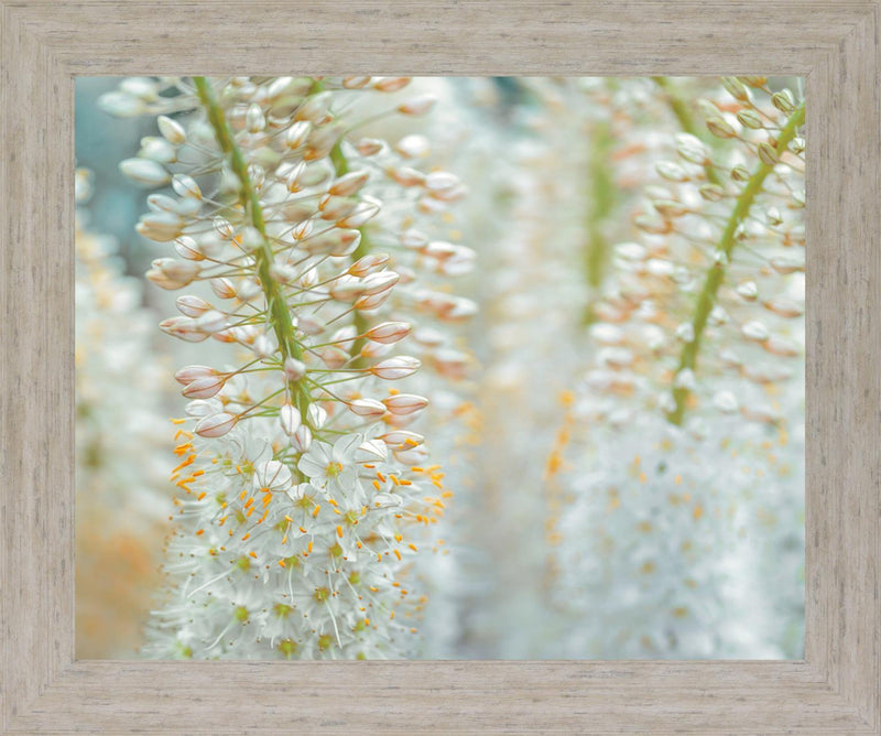 Whispering Blossoms - 28" x 34" Framed Wall Art - Beige
