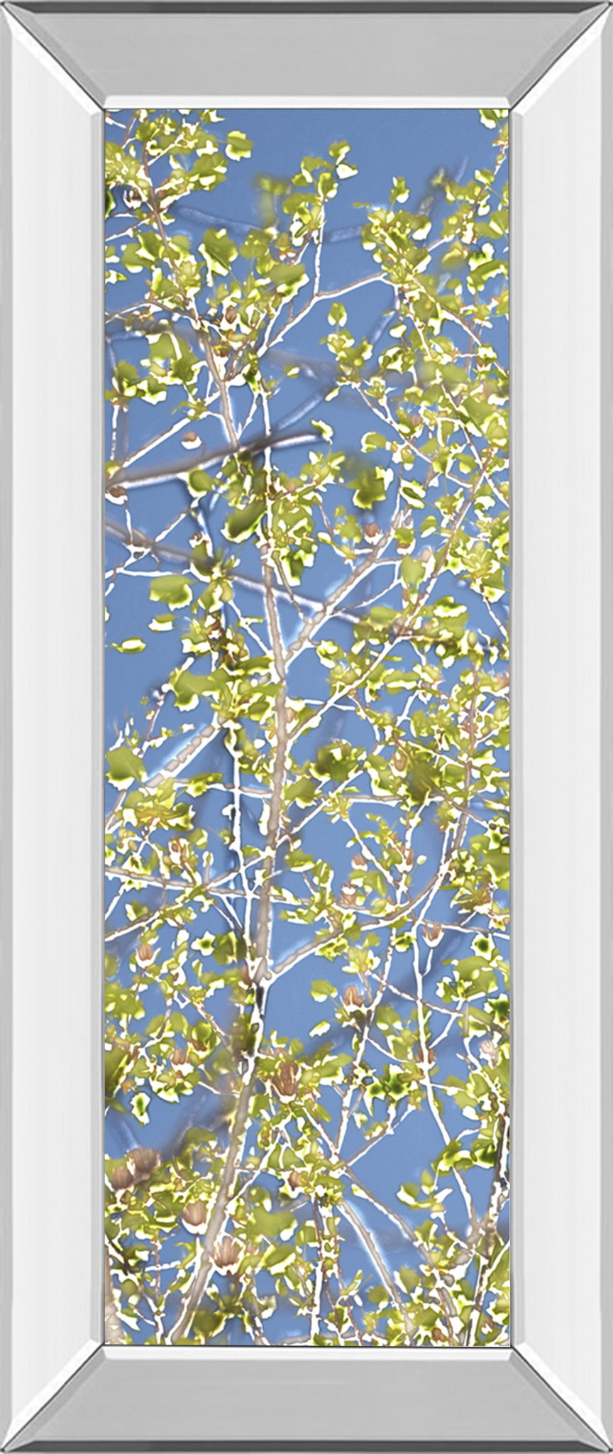 Spring Poplars I By Sharon Chandler - Mirror Framed Print Wall Art - Light Blue