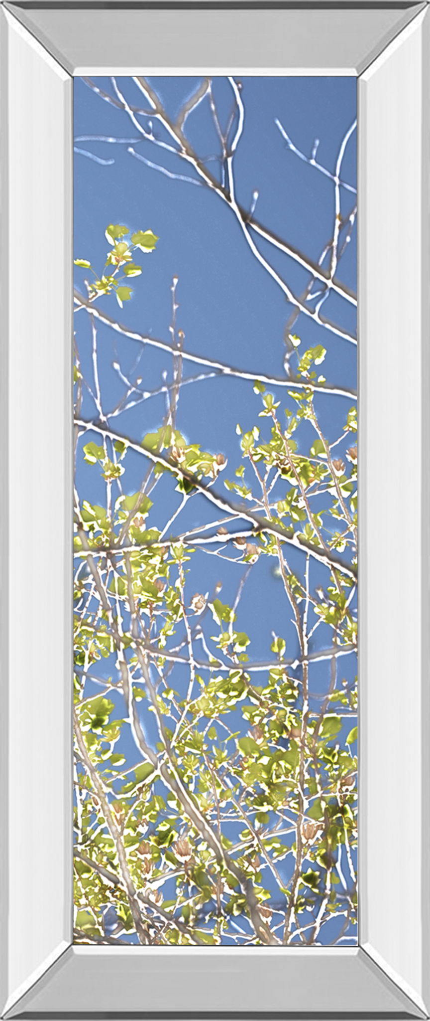 Spring Poplars IV By Sharon Chandler - Mirror Framed Print Wall Art - Light Blue