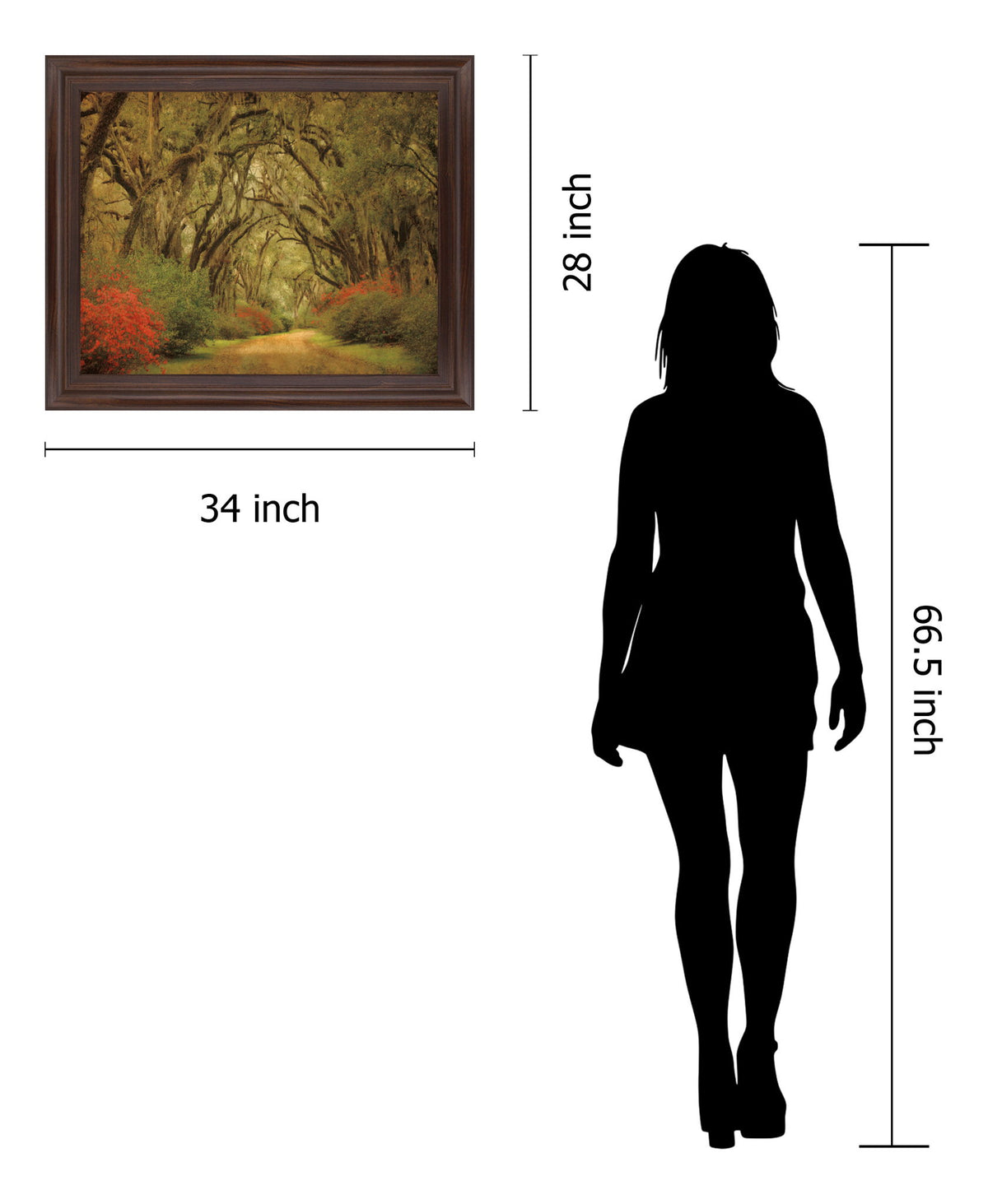 Mossy Woodland Trail - 28" x 34" Framed Wall Art - Green
