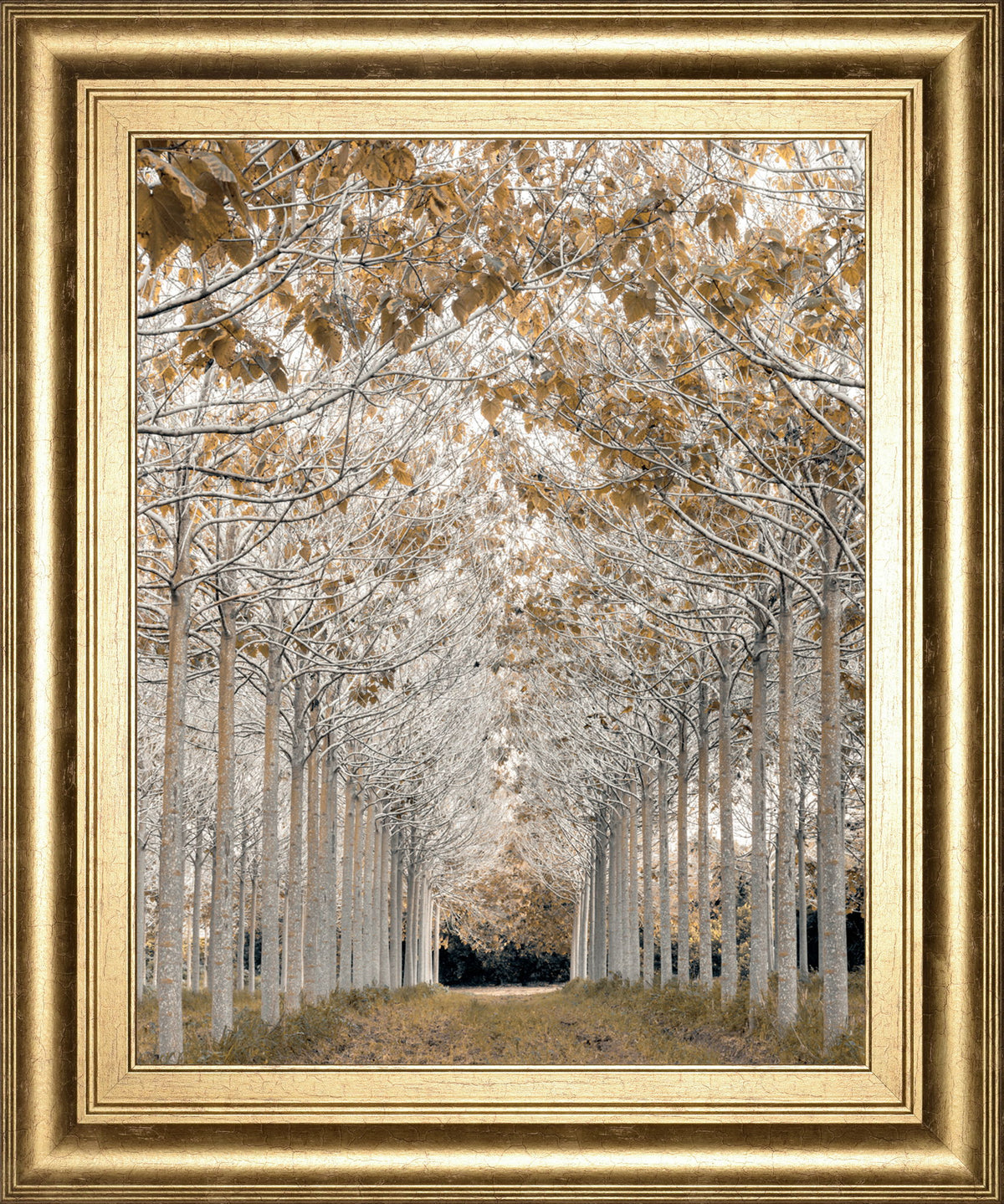 By Assaf Frank - Framed Print Wall Art - Light Brown