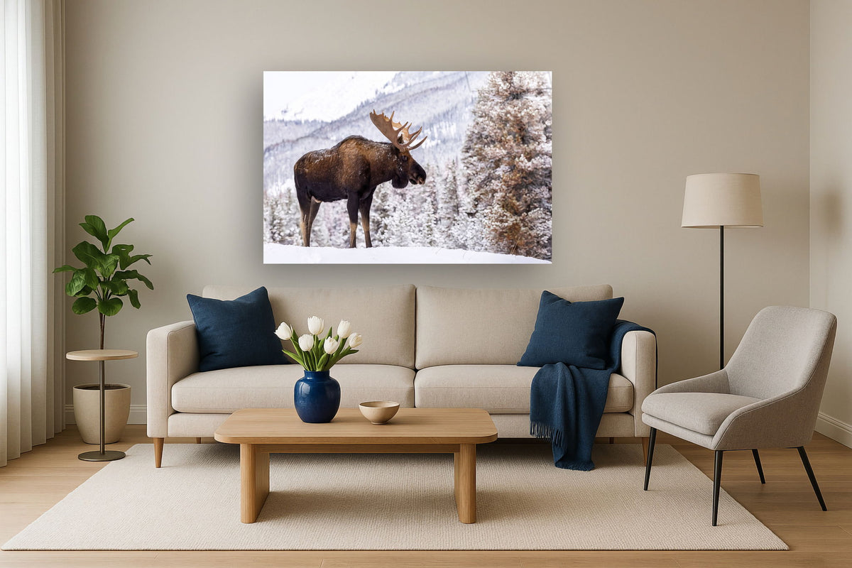 Tempered Glass - Moose In Snow - Gray