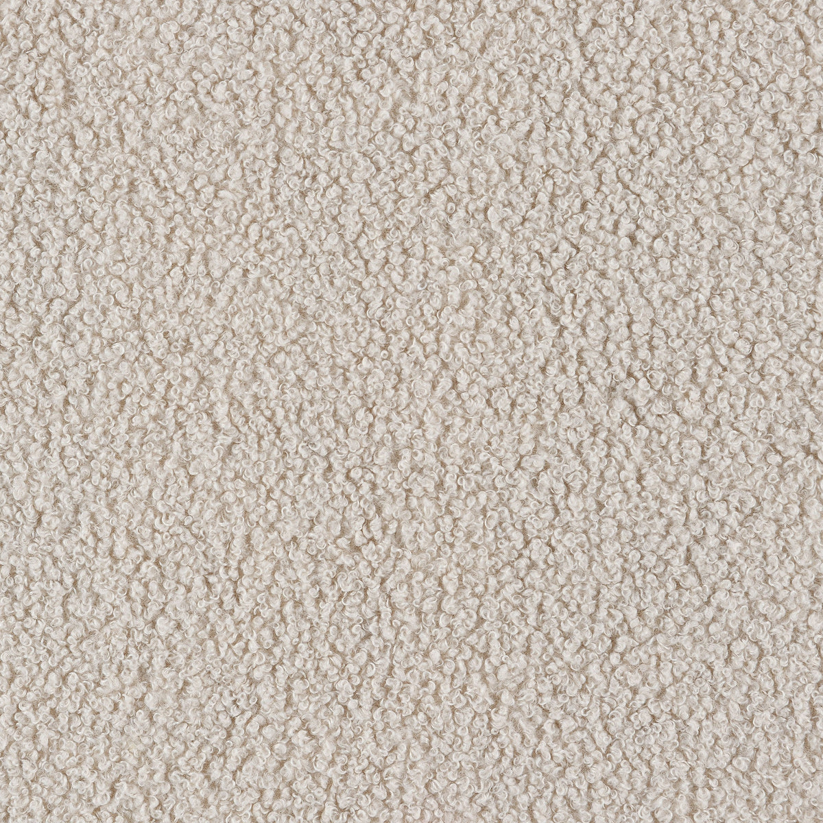 Paige Boucle Upholstered Mid Back Roc Chair