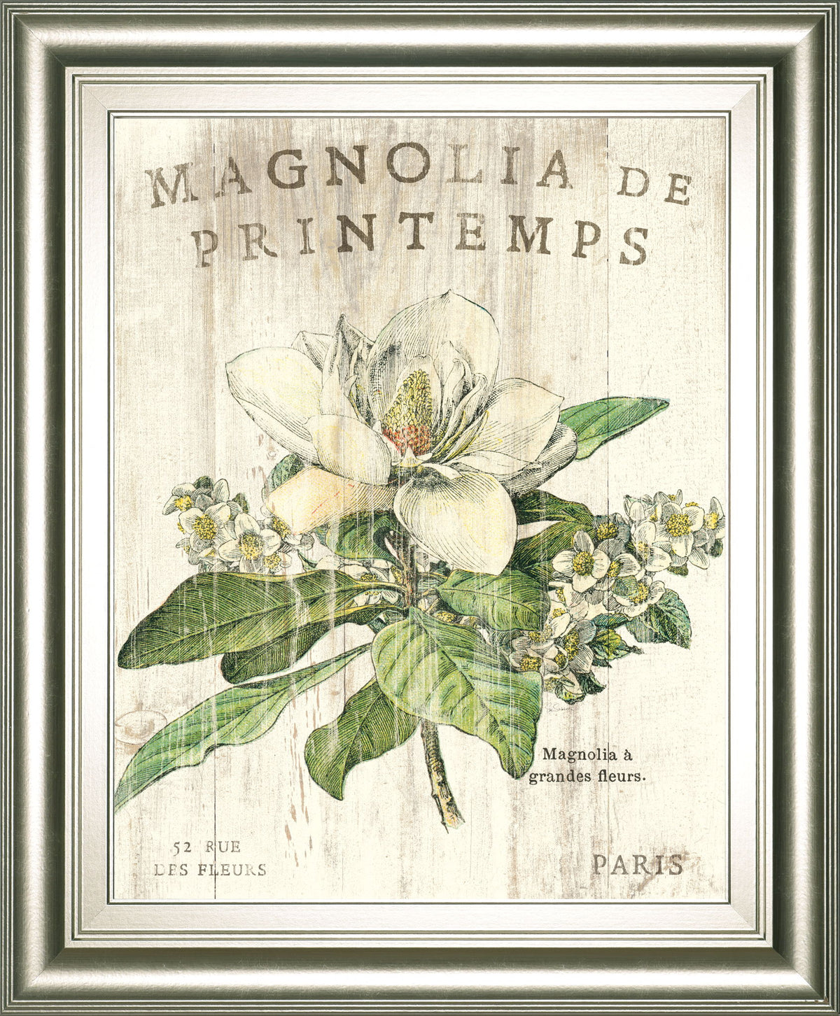 Magnolia De Printemps By Sue Schlabach - Beige