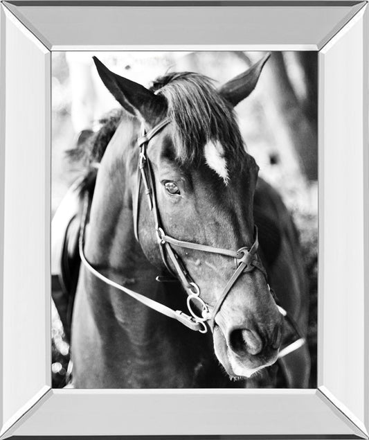 Derby I By Susan Bryant - Mirror Framed Print Wall Art - Dark Gray